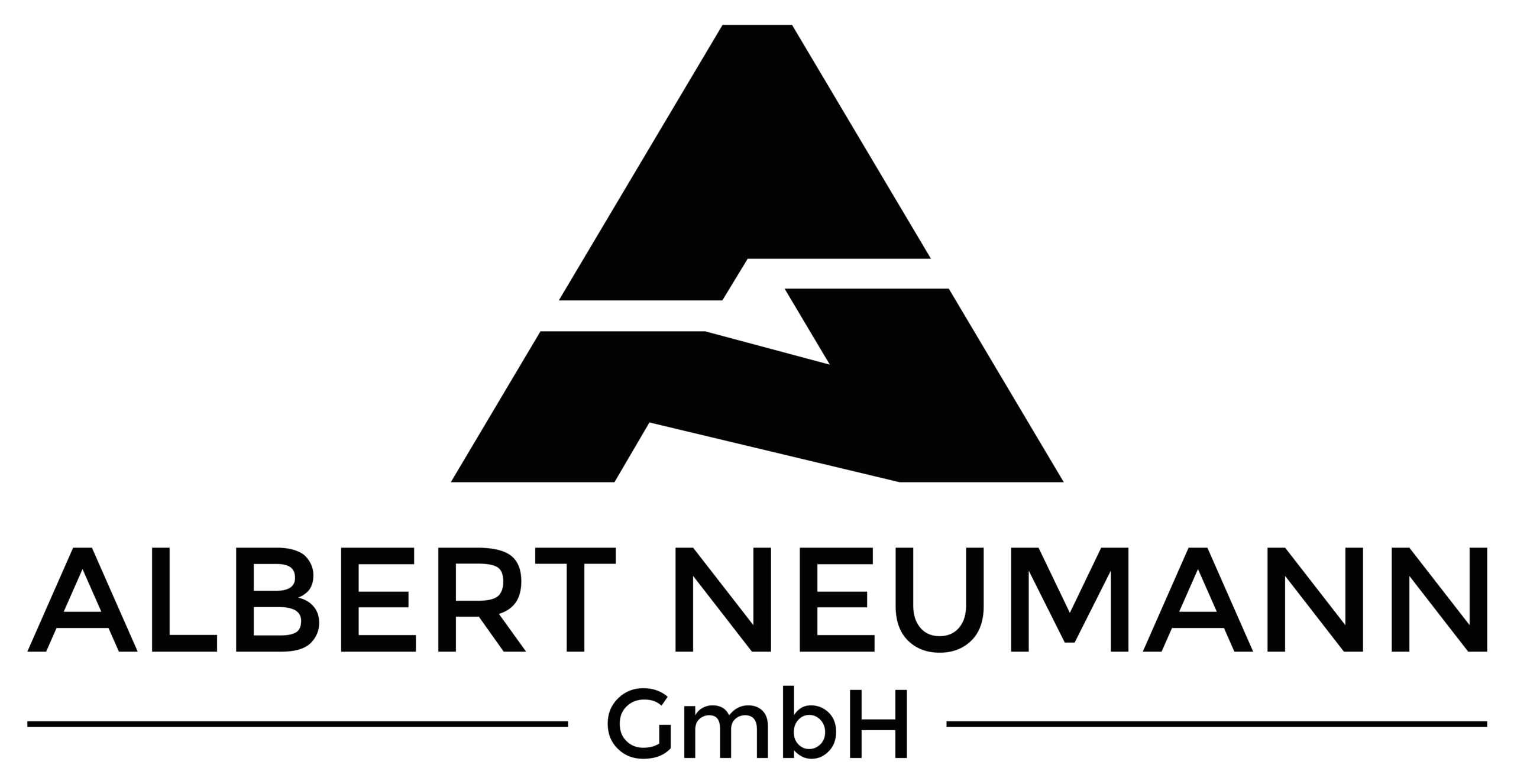 albert-neumann.de